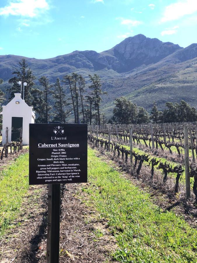 The Vineyard Cottage By L' Amitie Estate Franschhoek Kültér fotó