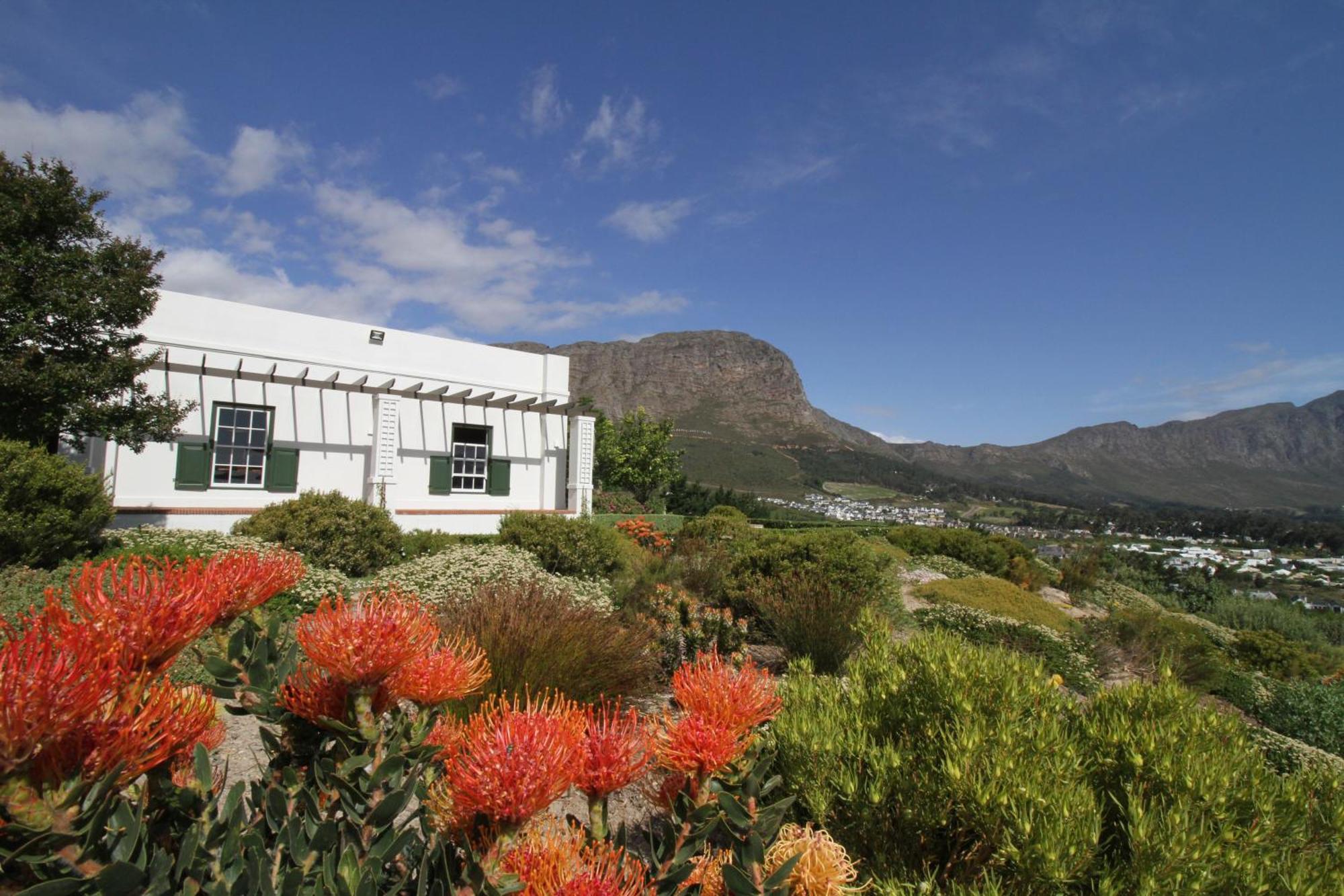 The Vineyard Cottage By L' Amitie Estate Franschhoek Kültér fotó